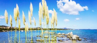 Baia de Bahas - Apartments