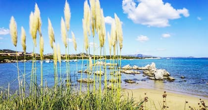 Baia de Bahas - Apartments