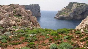 Un paysage côtier rocheux à la végétation clairsemée.