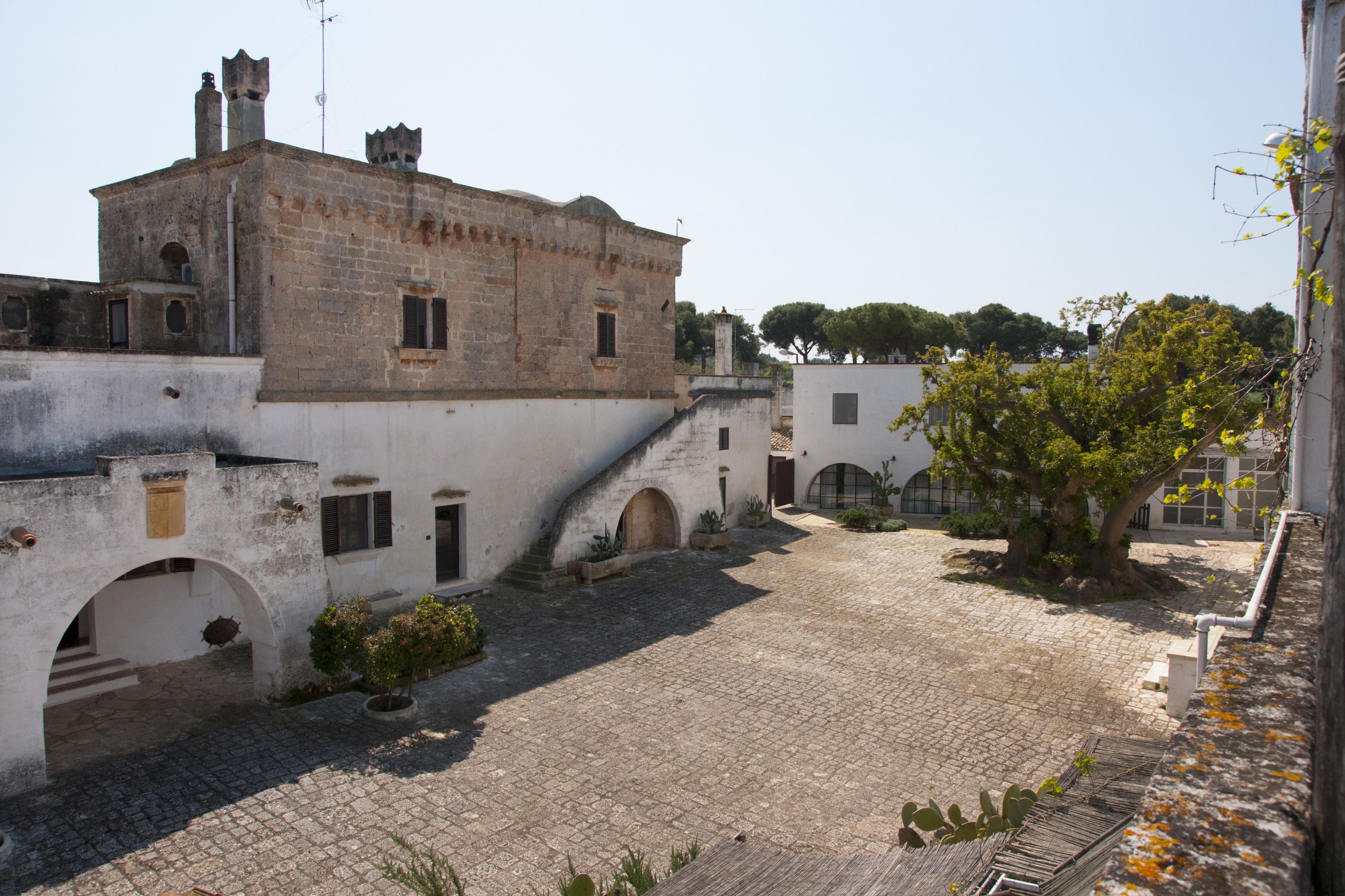 Un patio con empedrado de piedra, edificios de piedra y un árbol.