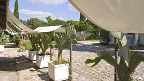 A courtyard with potted cacti and a pergola providing shade. - Masseria Zanzara (Presicce-Acquarica)