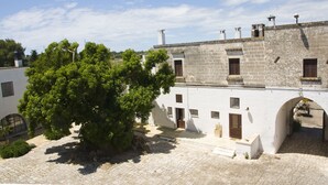 Un pati amb un arbre gran, edificis de pedra i una entrada d'arc.
