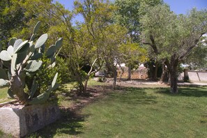 Un jardin avec des cactus et des arbres, un mur de pierre et un ciel dégagé.