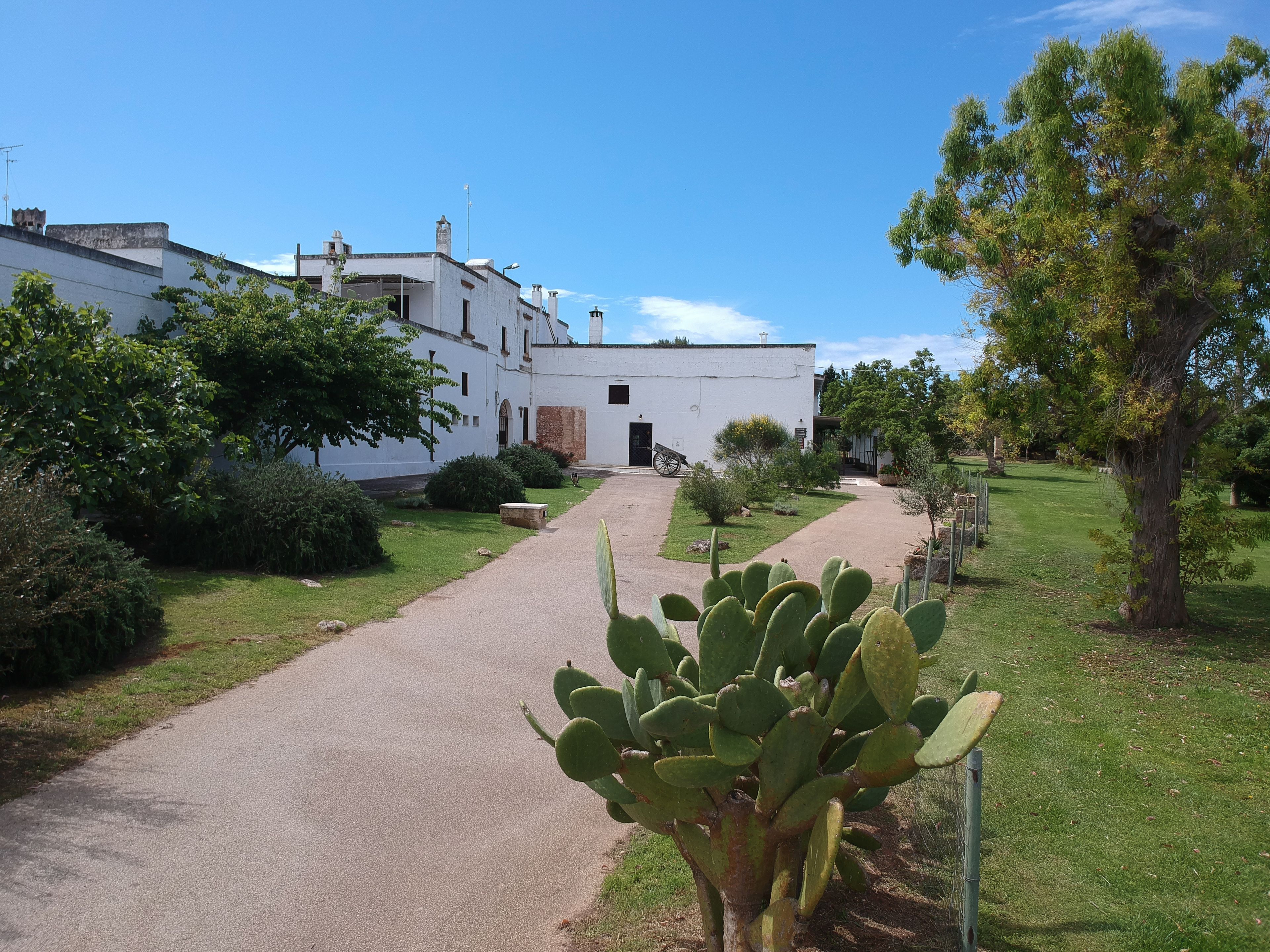 A pathway leading to a white building with multiple windows and a door, surrounded by greenery and a cactus plant.