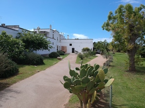 Uma passagem leva a um edifício branco com várias janelas e uma porta, cercado por vegetação e uma planta de cacto.