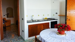 Una cocina compacta con fregadero, estufa y armarios de madera.