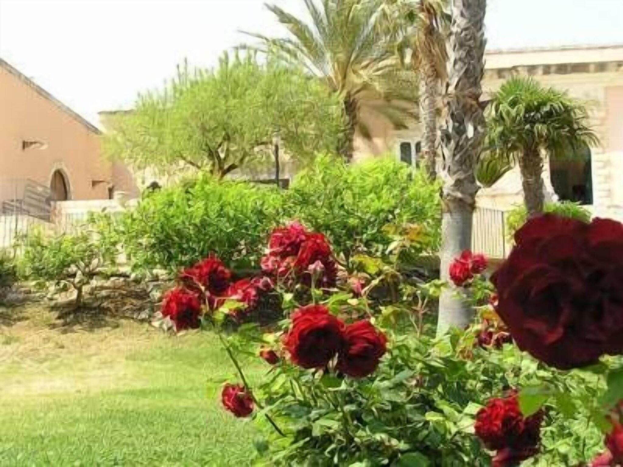 Un jardín con rosas rojas y palmeras.