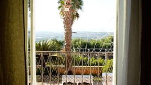 Vista desde un balcón con una palmera, una barandilla metálica y un paisaje distante.