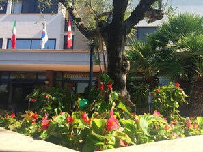 Vista desde la propiedad