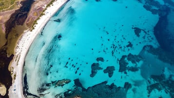 An aerial view of a beach with clear turquoise waters, sandy shore, and scattered vegetation.