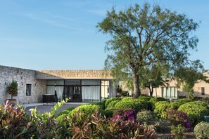 Un bâtiment en pierre doté d’une entrée en verre, entouré d’une végétation luxuriante et d’un grand arbre.