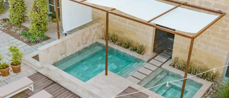 Une piscine sur le toit, protégée par une structure en verre, entourée de chaises longues et de plantes en pot.