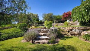 Ein Garten mit Steinstufen, üppiger Bepflanzung und verschiedenen Pflanzen.