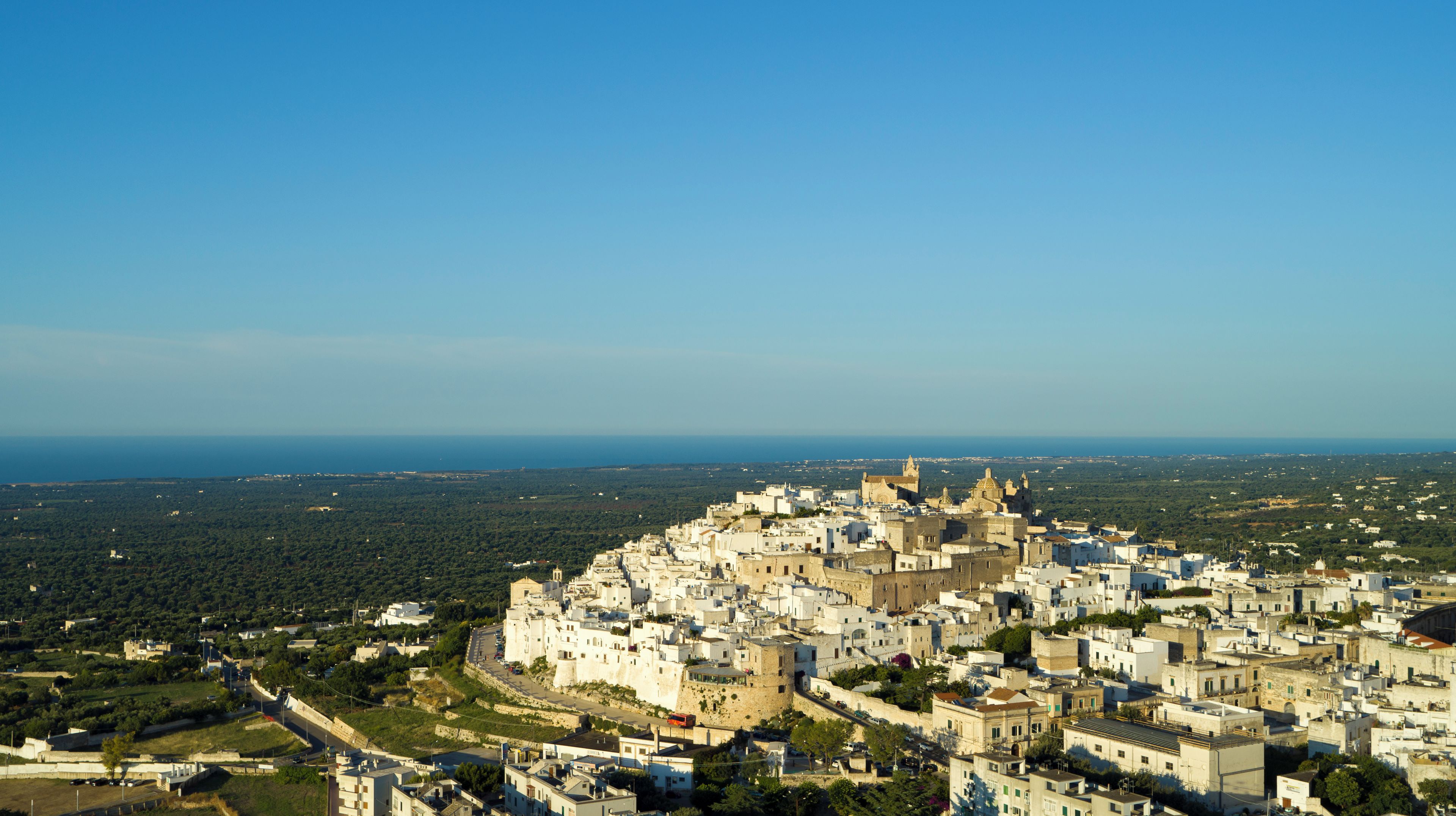 A coastal town with historic architecture, a prominent castle, and a view of the sea.