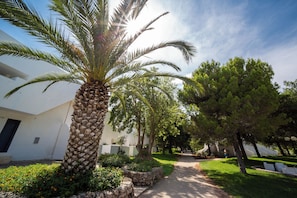 Un vialetto alberato da palme e un edificio dallo stile architettonico moderno.