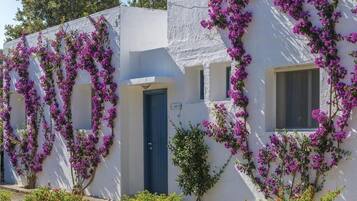 Una fila di edifici bianchi con fiori viola che arrampicati sulle pareti e piante in vaso di fronte.