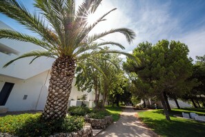 Vista dalla struttura