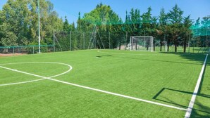 Un terrain de football avec des poteaux de but et un filet, entouré d’arbres et d’une clôture.