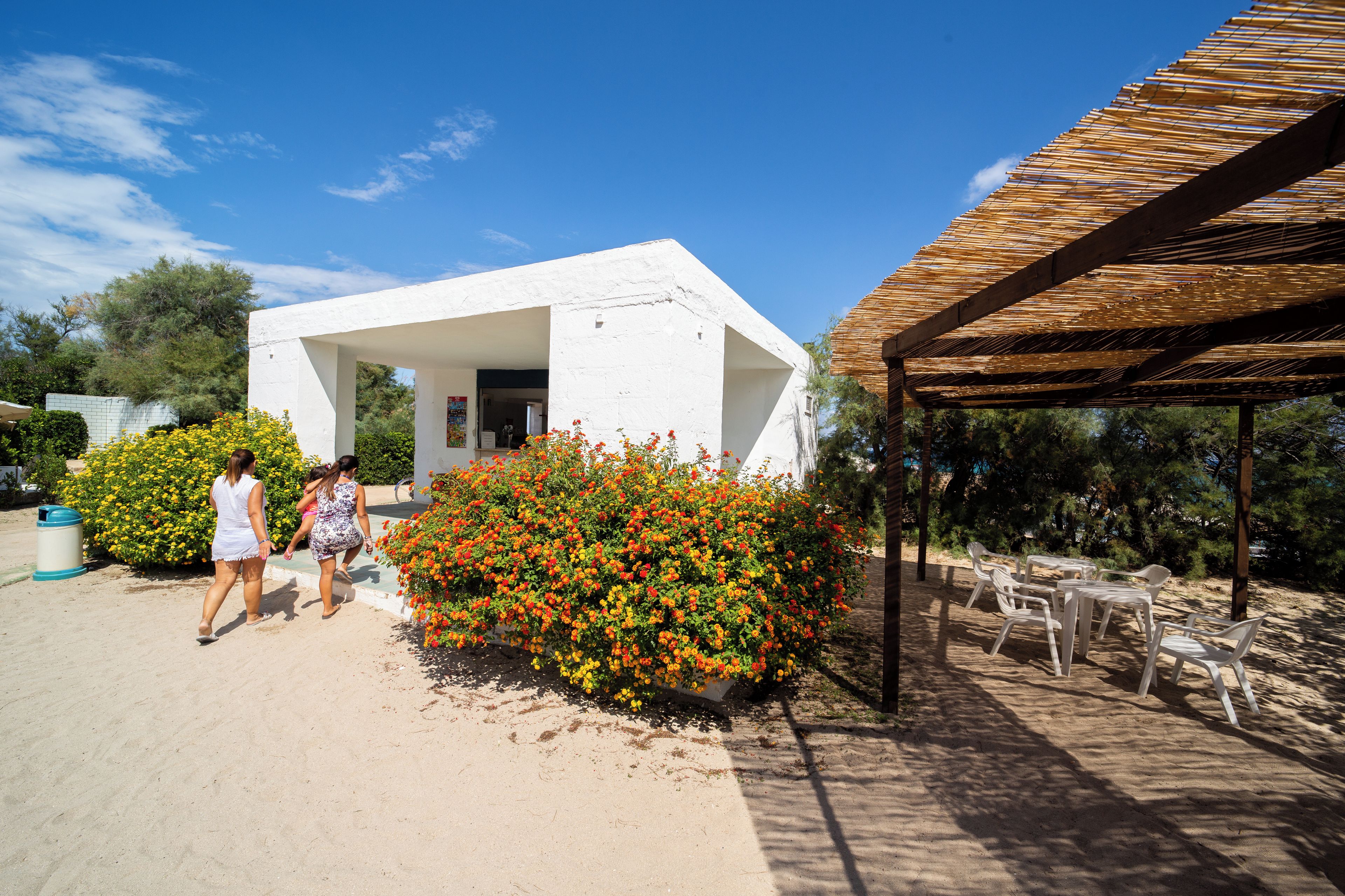 A white building with a covered outdoor seating area and a bush with orange flowers.