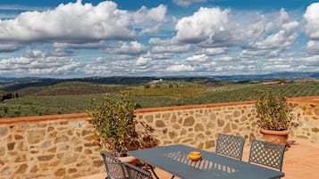 Une terrasse avec une table et des chaises, des plantes en pot et un mur en pierre.