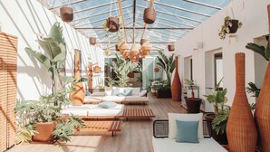 Un intérieur lumineux, baigné de soleil, avec un plafond en verre, des meubles en bois et diverses plantes en pot.