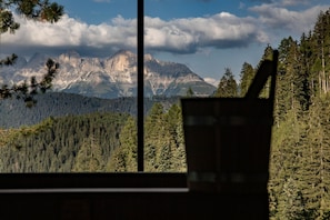 A mountain landscape with a forested area and a mountain range in the background. - Ganischgerhof - Mountain Resort & Spa (Nova Ponente)