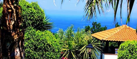 A coastal garden with a gazebo, lush greenery, and a view of the sea.