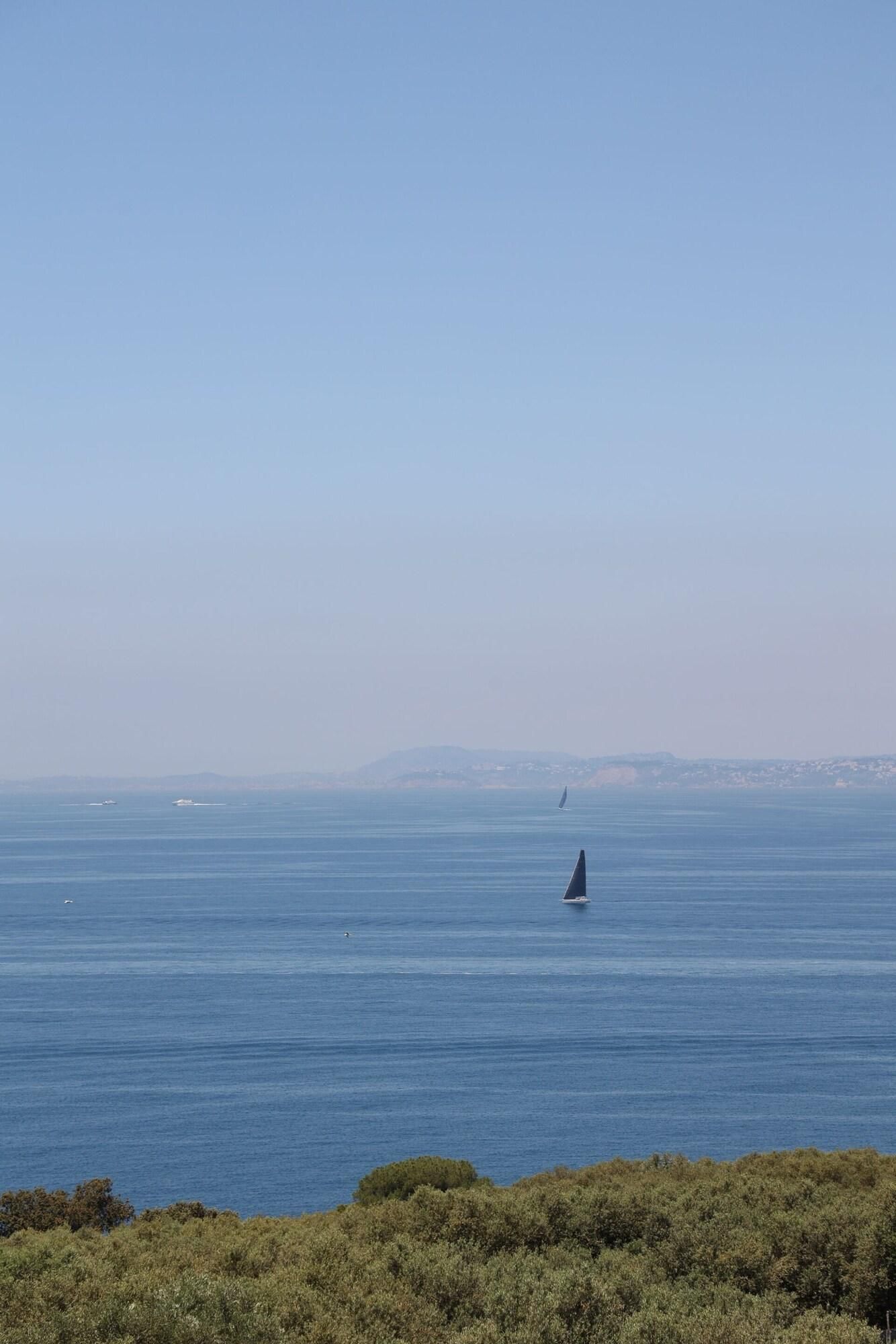 A coastal view with a sailboat on the water, a distant shoreline, and dense shrubbery in the foreground.