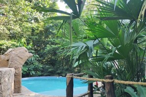 Outdoor pool - Casa Verde Nature Reserve (dos quebradas)