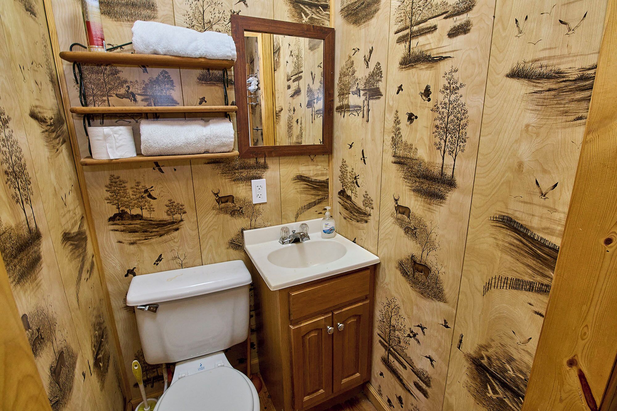 Shower, towels, toilet paper