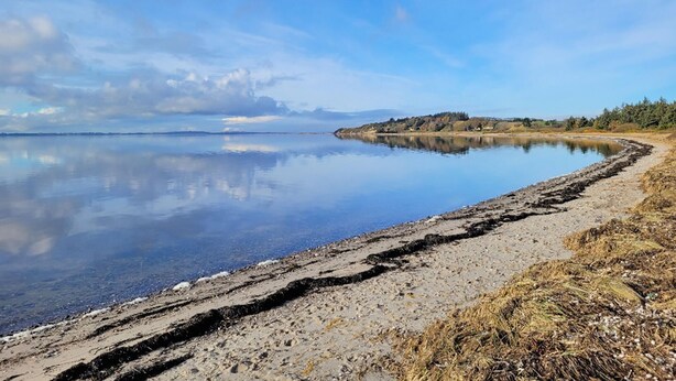 A calm lake with a sandy shore and a distant forested hill. - Amazing home in Farsø with house a panoramic view (Farsø)