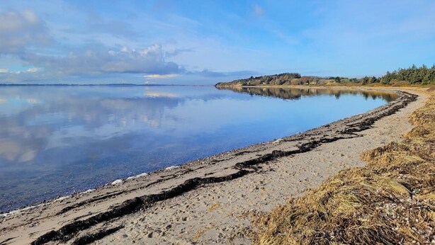 Ein ruhiger See mit sandigem Ufer und einer entfernten, von Bäumen bewachsenen Landmasse.