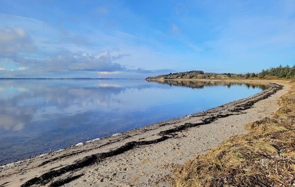 Fishing - Pet friendly home in Farsø with house a panoramic view (Farsø)
