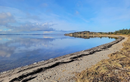4 bedroom awesome home in Farsø
