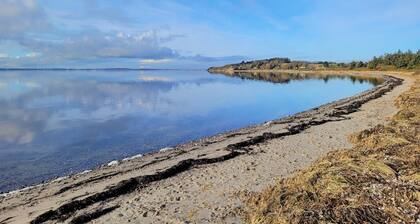 4 bedroom awesome home in Farsø