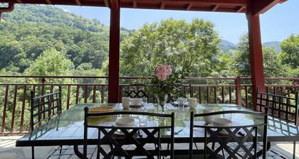 XUHINXAHAREA - BANCA