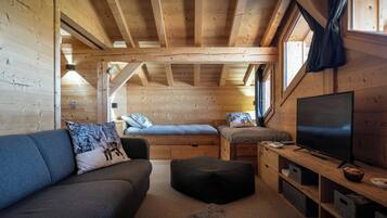 Télévision, cheminée, jeux vidéo