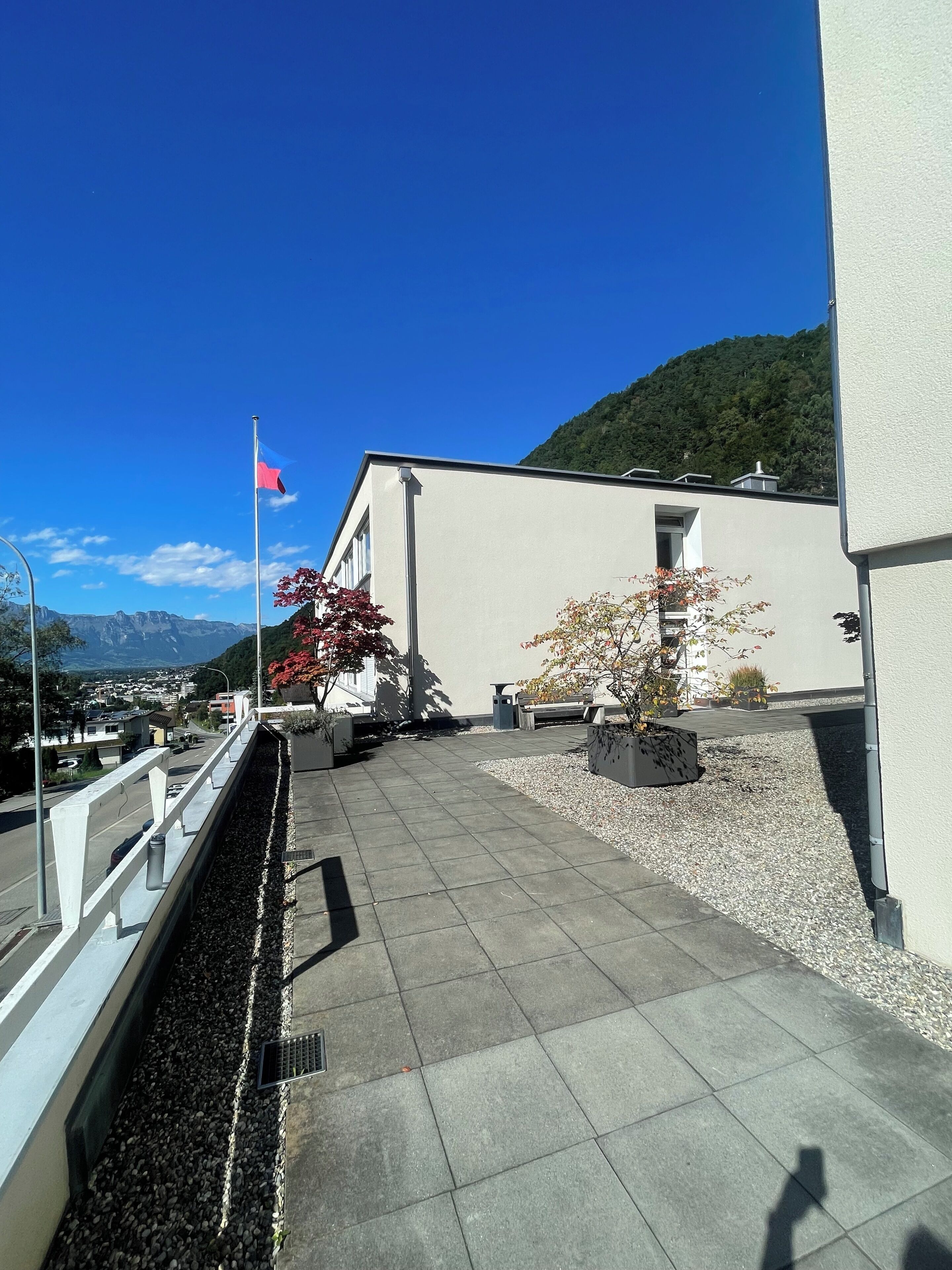 Une terrasse sur le toit, ornée d’un drapeau, de plantes en pot, et offrant une vue sur la ville et les montagnes.