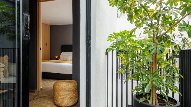 Um interior moderno com piso de madeira, uma cama e uma grande planta em vaso.