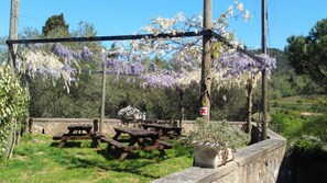 Gites de France Sud - Quintillan - Les Glycines - village