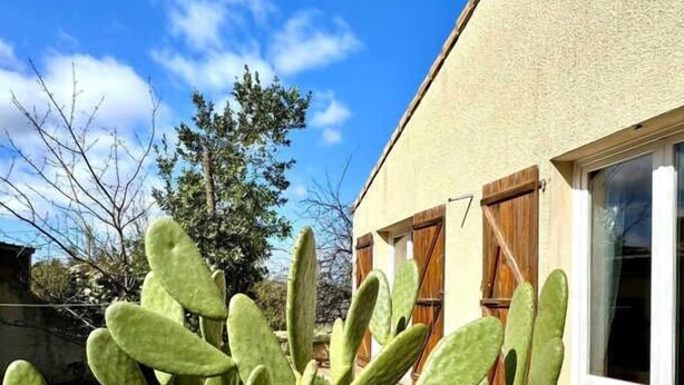 Una planta de cactus frente a un edificio con una ventana y una puerta.