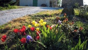 Ein Kiesweg führt zu einem Gebäude mit grüner Tür, umgeben von einem Garten mit verschiedenen Tulpen.