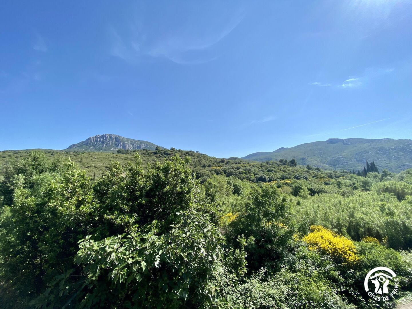 A mountainous landscape with dense green vegetation and a clear blue sky.