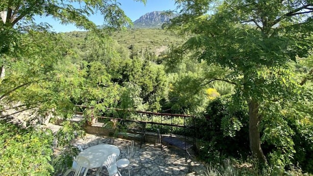 Un patio con mesa y sillas, rodeado de exuberante vegetación y una montaña al fondo.
