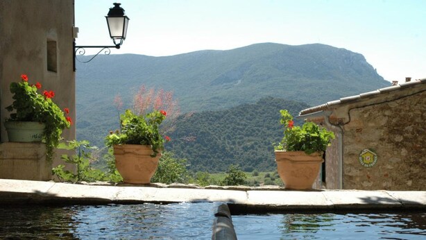 A stone bridge over a water feature with potted plants and a lamp post. - Le Vigneron - MONTGAILLARD (MONTGAILLARD)