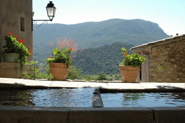 Property grounds - Le Vigneron - MONTGAILLARD (MONTGAILLARD)