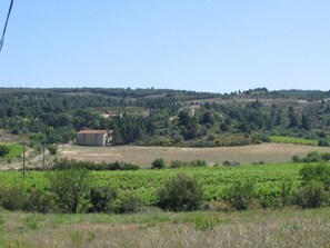 A rural landscape with a vineyard, a small building, and scattered houses on rolling hills. - Gite des Pesquis - BAGES (BAGES)