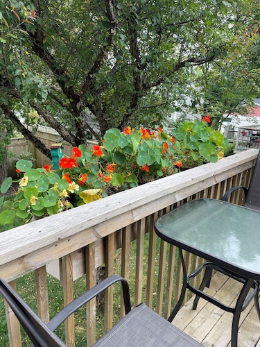 Timeless Almon Sea Breeze 3-bedroom home