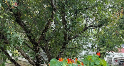 Timeless Almon Sea Breeze 3-bedroom home