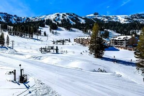 Lumi- ja hiihtourheilulajit